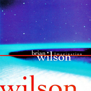 Brian Wilson : Imagination (CD, Album, WEA)