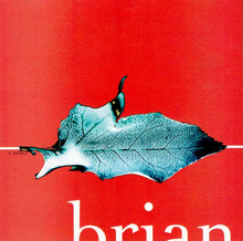 Load image into Gallery viewer, Brian Wilson : Imagination (CD, Album, WEA)
