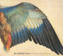 Load image into Gallery viewer, The Self Help Group : Not Waving, But Drowning (CD, Album)
