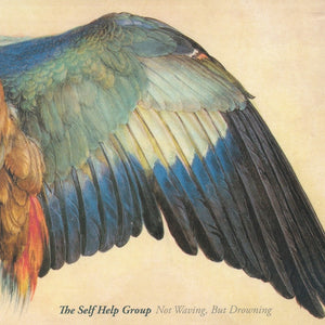 The Self Help Group : Not Waving, But Drowning (CD, Album)