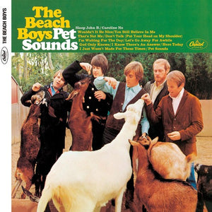 the album cover for The Beach Boys - Pet Sounds