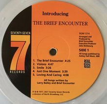 Load image into Gallery viewer, The Brief Encounter* : The Brief Encounter (LP, Album, RE, Smo)
