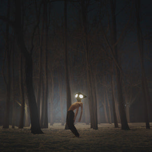 Geese (11) : Projector (LP, Album)