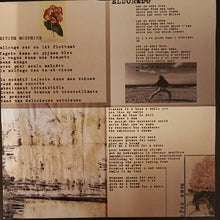 Load image into Gallery viewer, KéPA : Divine Morphine (LP, Album)
