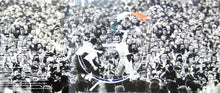 Load image into Gallery viewer, U2 : U2 Go Home (Live From Slane Castle Ireland) (DVD-V)

