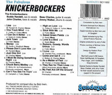 Load image into Gallery viewer, The Knickerbockers : The Fabulous Knickerbockers (CD, Comp, Mono)
