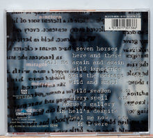 Load image into Gallery viewer, The Schramms : Dizzy Spell (CD, Album)
