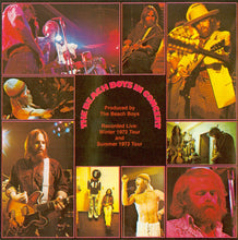Load image into Gallery viewer, The Beach Boys : In Concert (CD, Album, RE, RM)
