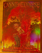 Load image into Gallery viewer, Cannibal Corpse : Centuries Of Torment: The First 20 Years (3xDVD-V)
