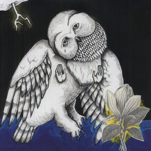 Songs: Ohia - Magnolia Electric Company Co