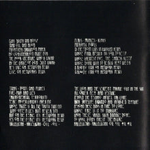 Load image into Gallery viewer, Robert Plant : Fate Of Nations (CD, Album)
