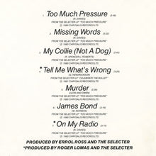 Load image into Gallery viewer, The Selecter : Selected Selecter Selections (CD, Comp)
