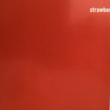 Load image into Gallery viewer, The Fireman : Strawberries Oceans Ships Forest (CD, Album)
