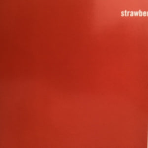 The Fireman : Strawberries Oceans Ships Forest (CD, Album)