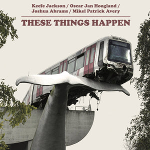 Keefe Jackson / Oscar Jan Hoogland / Joshua Abrams / Mikel Patrick Avery* : These Things Happen (12", Album)