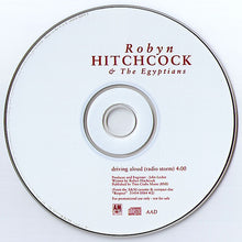 Load image into Gallery viewer, Robyn Hitchcock &amp; The Egyptians : Driving Aloud (Radio Storm) (CD, Single, Promo)
