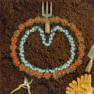 XTC : Homegrown (CD)