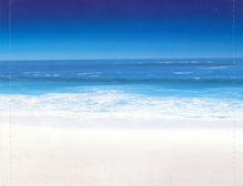 Load image into Gallery viewer, The Beach Boys : Classics Selected By Brian Wilson (HDCD, Comp)
