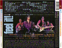 Load image into Gallery viewer, Question Mark &amp; The Mysterians* : Feel It! - The Very Best Of Question Mark &amp; The Mysterians (CD, Album, Enh, RM)
