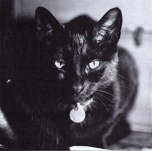 Load image into Gallery viewer, Robyn Hitchcock : Moss Elixir / Mossy Liquor (Comp + CD, Album, RE + CD, Album, RE)
