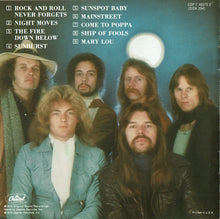 Load image into Gallery viewer, Bob Seger And The Silver Bullet Band : Night Moves (CD, Album, RE, Dis)
