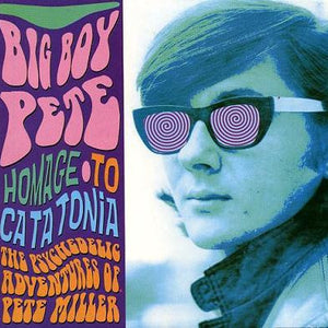 Big Boy Pete : Homage To Catatonia (CD, Album)
