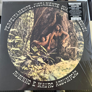 Rubinho E Mauro Assumpção : Perfeitamente, Justamente Quando Cheguei (LP, Album, RE)