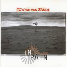 Load image into Gallery viewer, Townes Van Zandt : In Pain (CD, Album)
