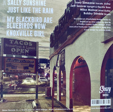 Load image into Gallery viewer, The Bellfuries : Sally Sunshine (7")
