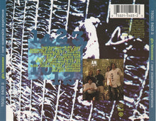 Load image into Gallery viewer, Gin Blossoms : New Miserable Experience (CD, Album, DAD)
