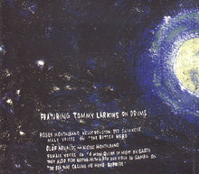 Load image into Gallery viewer, Jonathan Richman : O Moon, Queen Of Night On Earth (CD, Album)
