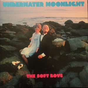 The Soft Boys : Underwater Moonlight (CD, Album, RE)