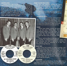 Load image into Gallery viewer, Gary Usher : Barefoot Adventure: The 4 Star Sessions 1962-66 (2xCD, Comp)
