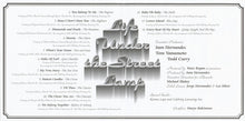 Load image into Gallery viewer, Various : Life Under The Street Lamp (CD, Comp)
