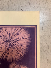 Load image into Gallery viewer, Dave Mason at Armadillo World Headquarters - 1977 (Poster)
