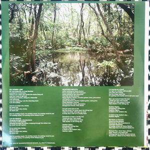 RF Shannon : Red Swan in Palmetto (LP, Ltd, Aba)