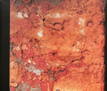 Load image into Gallery viewer, Jesse Cook : Vertigo (CD, Album)
