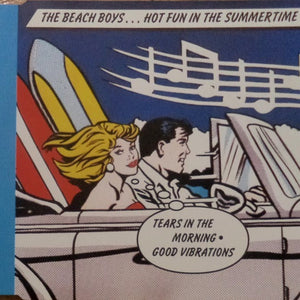 The Beach Boys : Hot Fun In The Summertime (CD, Maxi)