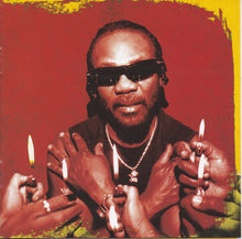 Load image into Gallery viewer, Toots And The Maytals* : Light Your Light (CD, Album)
