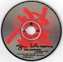 Load image into Gallery viewer, Gin Blossoms : Hey Jealousy (CD, Single, Promo)
