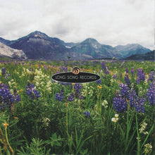 Load image into Gallery viewer, Joe Fonda Quartet : Eyes On The Horizon (CD, Album, Ltd)
