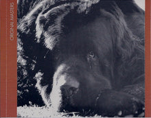 Load image into Gallery viewer, Jefferson Airplane : Crown Of Creation (CD, Album, RE, RM)
