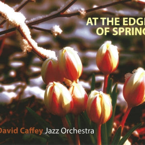 David Caffey Jazz Orchestra : At The Edge Of Spring (CD)