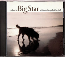 Load image into Gallery viewer, Various : A Tribute To Big Star (Additional Songs By Chris Bell) (CD, Album)
