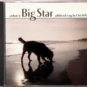 Various : A Tribute To Big Star (Additional Songs By Chris Bell) (CD, Album)