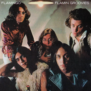 Flamin Groovies* : Flamingo (CD, Album, RE)