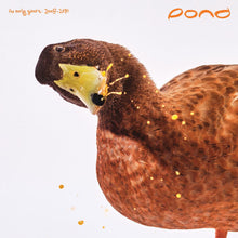 Load image into Gallery viewer, Pond (5) : The Early Years: 2008 - 2010 (2xLP, RSD, Comp, Ltd, Man)
