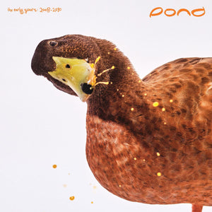 Pond (5) : The Early Years: 2008 - 2010 (2xLP, RSD, Comp, Ltd, Man)