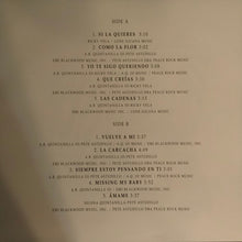 Load image into Gallery viewer, Selena : Entre A Mi Mundo (LP, Album, RE, RM, Red)
