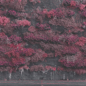 Sleep Token : Even In Arcadia (CD, Album)